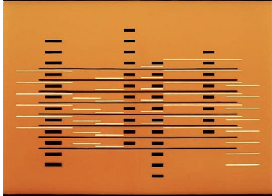 Stripes (raitaperhe)